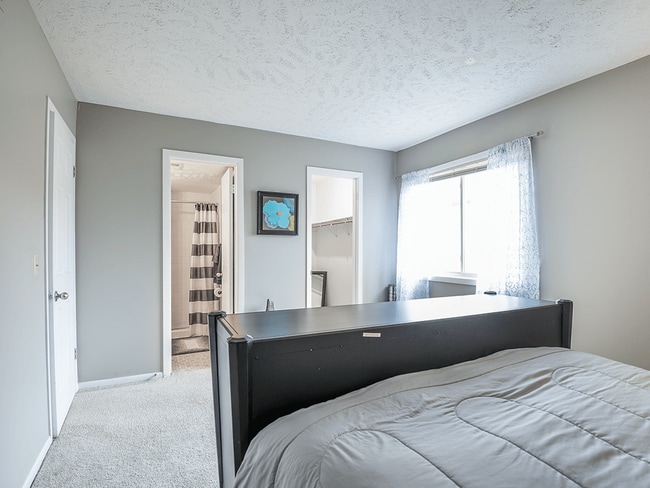 Attractive, Neutral Color Schemes