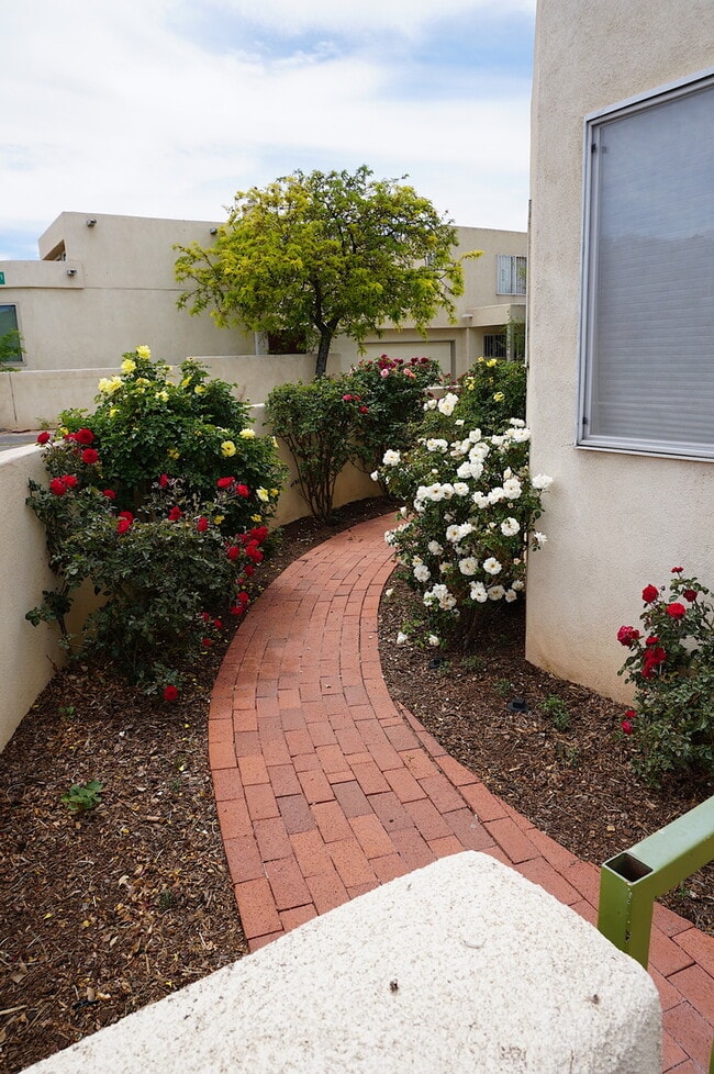 Photo - Move In Ready Near UNM and Nob Hill!! This won't last long!