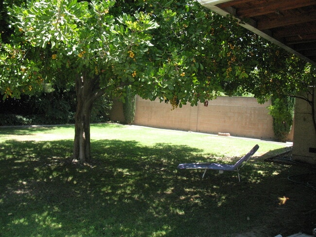 Shady Glen - Backyard with cool microclimae - 3121 W Wyoming Ave