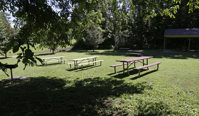 Picnic Area