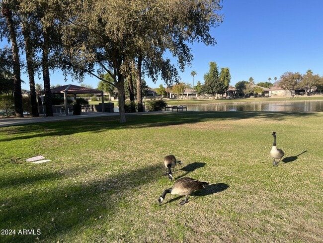 Photo - 7211 W Irma Ln