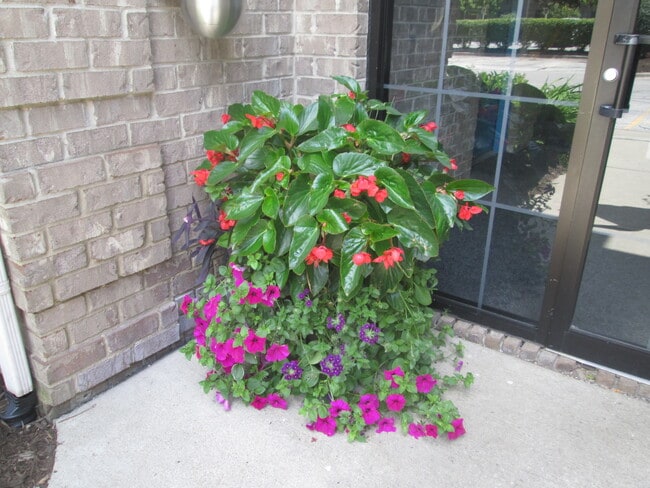 Welcoming Entrances