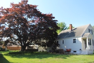 Ready for BBQ's! - 417 Reef Rd