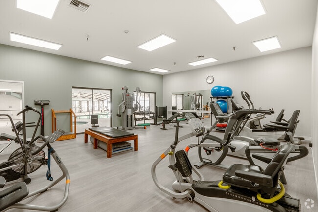 Gimnasio