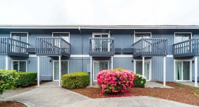 Photo - Indigo Apartments