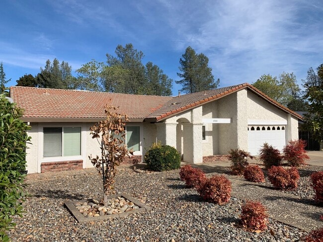 Photo - Mature dog considered. Nice home, convenient location off Placer & Wisconsin, Rdg.