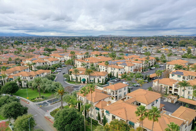 Photo - Palma Sorrento at Palm Valley Apartments
