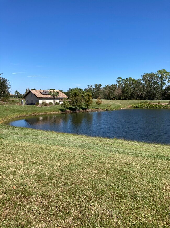 17118 Vardon Ter Condo Unit 202 Condo for Rent in Lakewood Ranch, FL