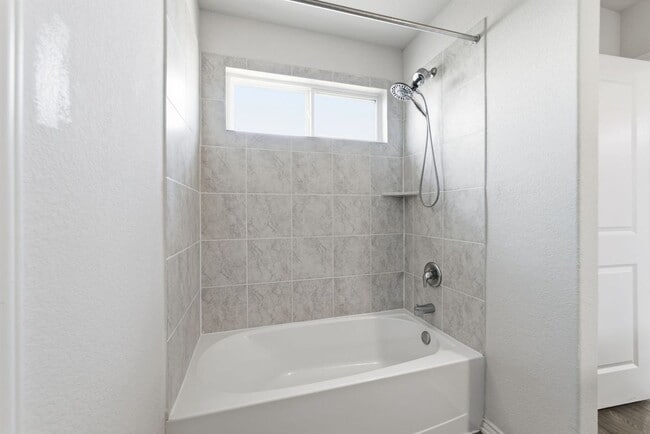 Photo - 10019 Bur Sedge