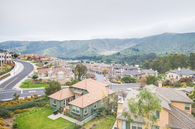 Photo - 55 Golden Aster Ct