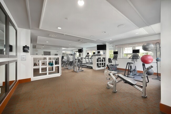 The Vivere Lofts