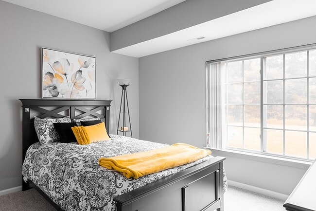 Photo - Somerset Park