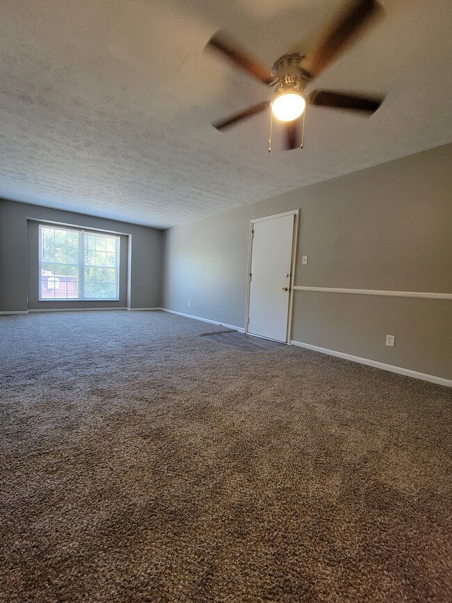 2 bedroom living room carpeted