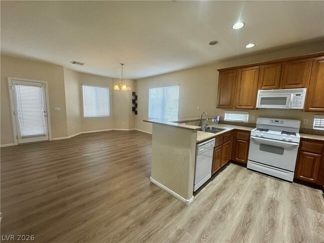 Photo - 8277 Brilliant Pompon