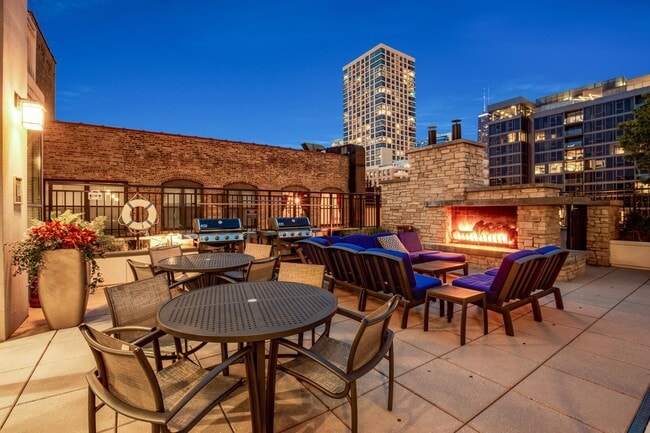 Gorgeous rooftop - 316 W Erie St Unit 807