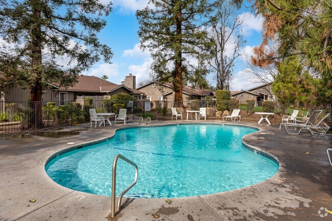 Pool - Dry Creek Meadows Apartments