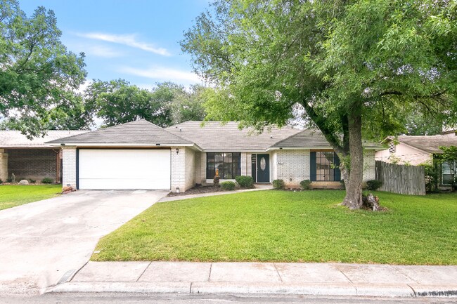 Photo - 11818 Gravetree St