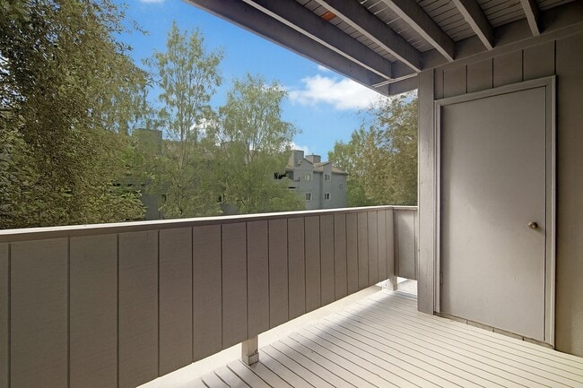 Photo - Russian Jack