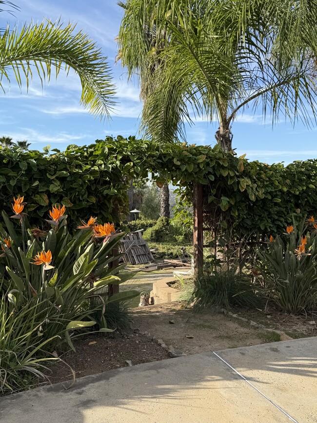 Photo - 28320 Serenity Path