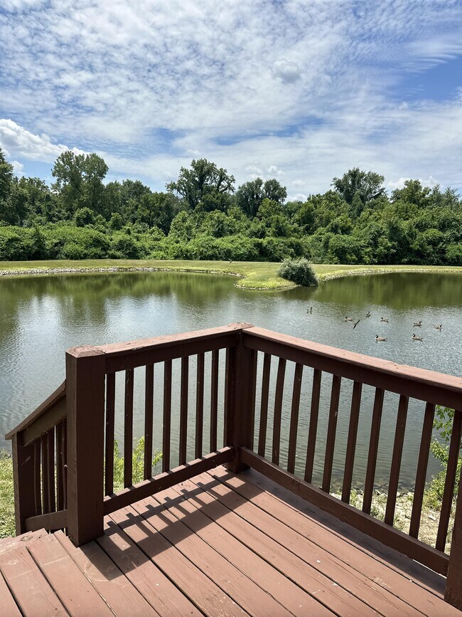 Photo - 3720 Candlewyck Club Dr