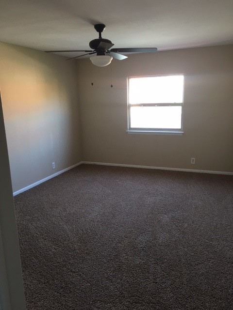 Photo - The Thunderbird