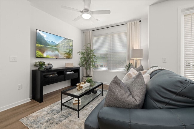District Collection apartments — community photo