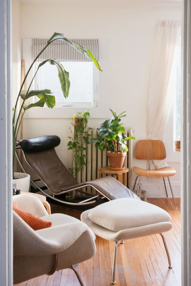 Photo - 218 Beatrice St Unit Flexible Furnished 3BD sublet in Little Italy