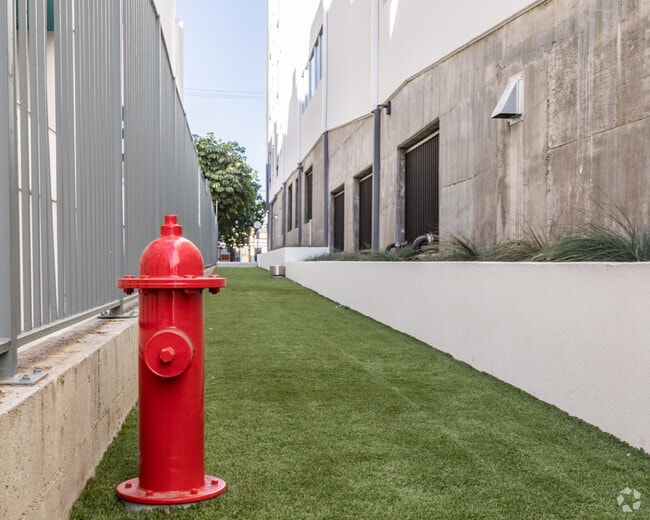 Corral para perros