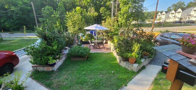 front garden