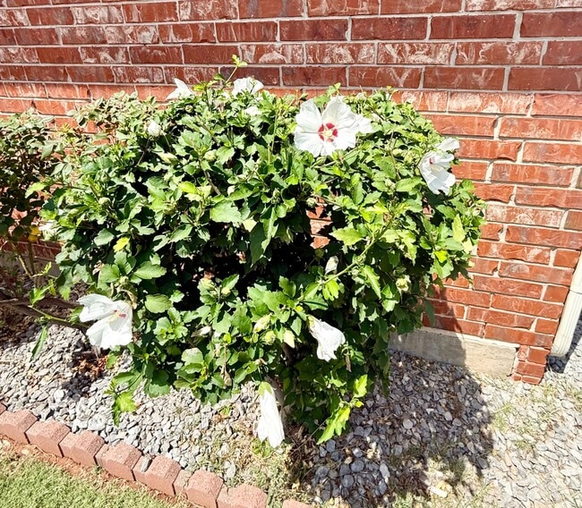 Photo - 2821 Fennel Rd