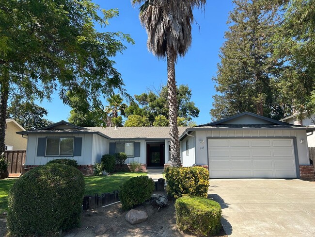 Updated 4-Bedroom Single-Story Home in Con... - Updated 4-Bedroom Single-Story Home in Con...
