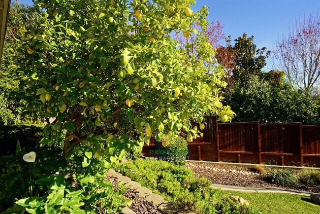 Photo - Brand New Charming 2-Bedroom Retreat - JUST Reduced to $3,950