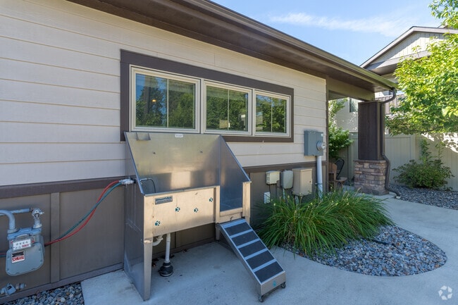 Dog Wash Station