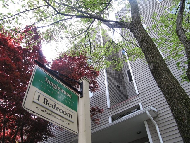 Photo - Tanglewood Apartments