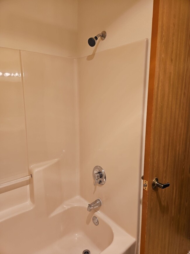 Main Bath-Tub-Shower