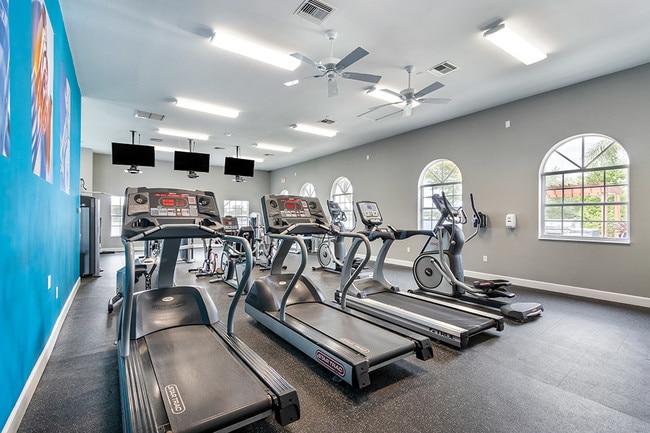 Bell Coconut Creek