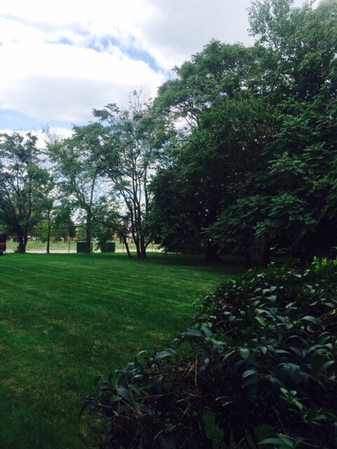 Side Yard - Seward Gardens