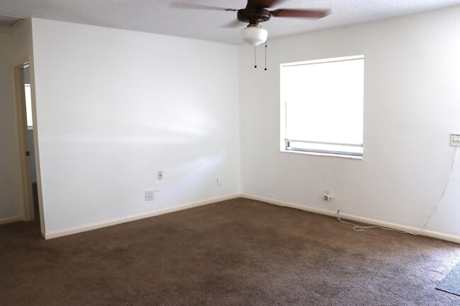 Photo - 231 Hibiscus St