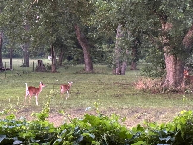 Building Photo - 2011 Miller Rd