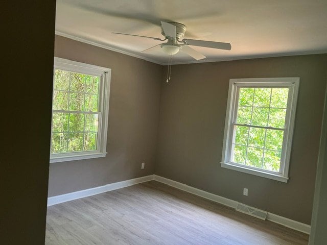 Photo - 115 Converse Dr