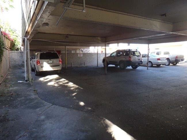 Photo - Sulross Garden