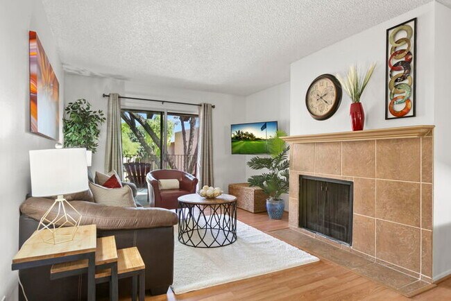 Photo - The Lone Traveller