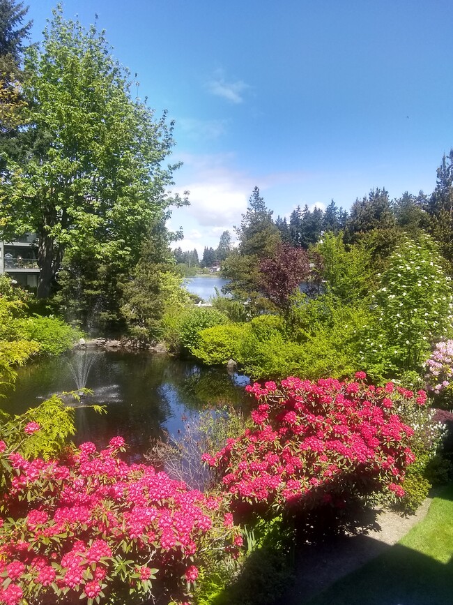 Building Photo - 19414 Aurora Ave N Unit 203