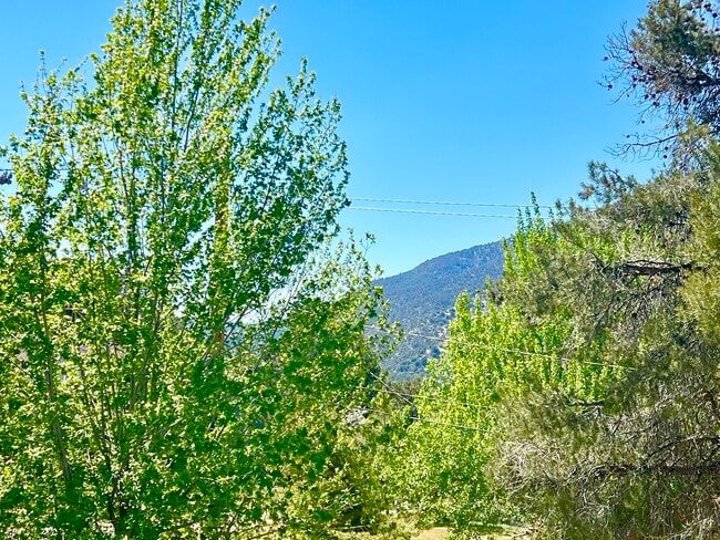 Photo - 14700 Voltaire Dr