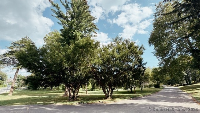 Photo - 89 Richmond Hill Rd