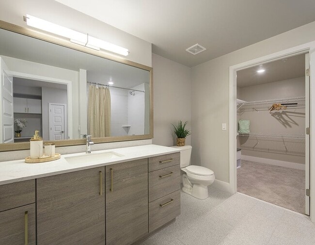 Treo Apartments