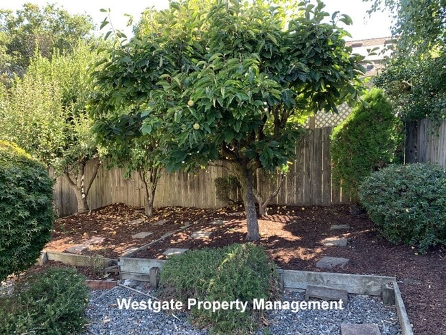 Photo - 1160 Birch Dr