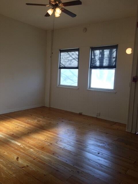 Photo - 2536 Amber St Unidad 1F