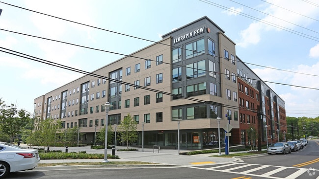 Primary Photo - Terrapin Row