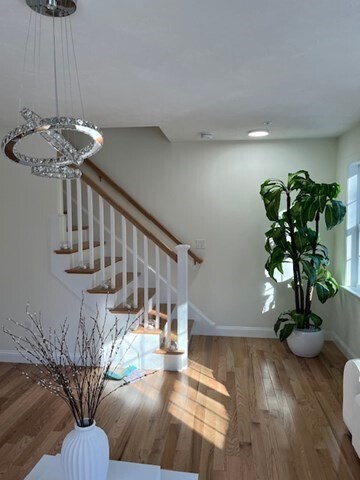 Photo - 35 Fredonian St Unit K